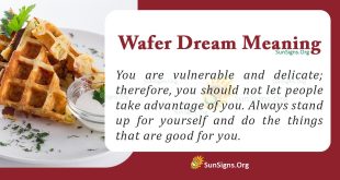 Wafer Dream Meaning