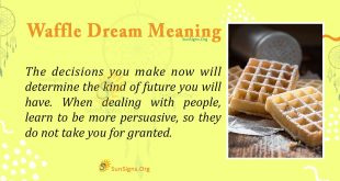 Waffle Dream Meaning