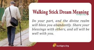 Walking Stick Dream Meaning