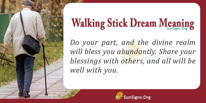 Walking Stick Dream Meaning