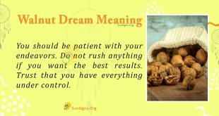 Walnut Dream Meaning