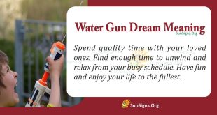 Water Gun Dream Meaning