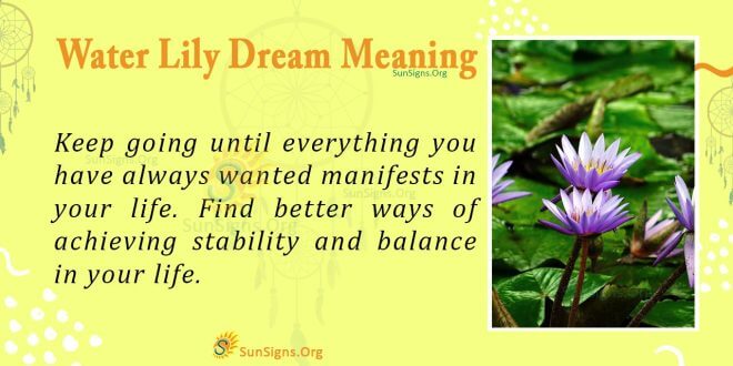 Water Lily Dream Meaning