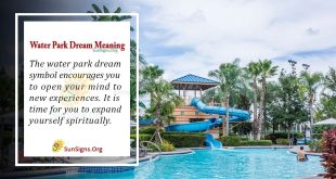 Water Park Dream Meaning