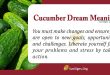 Cucumber Dream Meaning