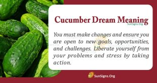 Cucumber Dream Meaning