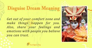 Disguise Dream Meaning