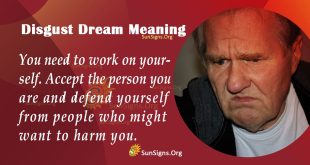 Disgust Dream Meaning