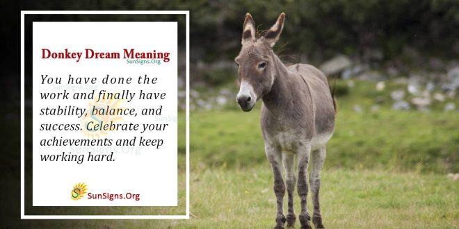 Donkey Dream Meaning