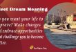 Fleet Market Dream Meaning