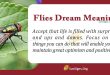 Flies Dream Meaning