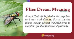 Flies Dream Meaning