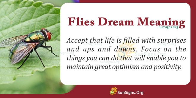 Flies Dream Meaning