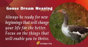 Goose Dream Meaning