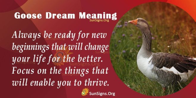 Goose Dream Meaning