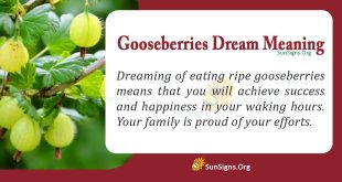 Gooseberries Dream Meaning