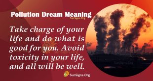 Pollution Dream Meaning