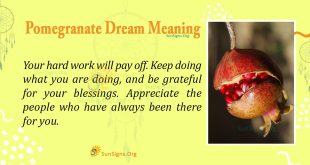 Pomegranate Dream Meaning