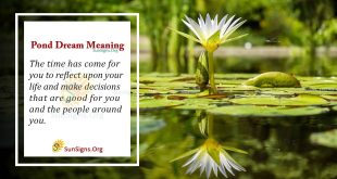 Pond Dream Meaning