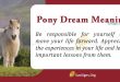 Pony Dream Meaning