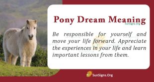 Pony Dream Meaning