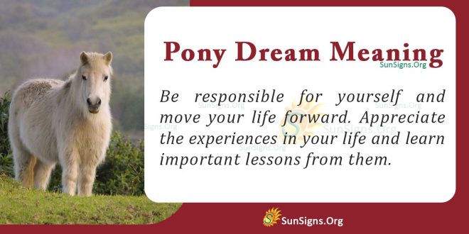 Pony Dream Meaning