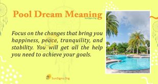 Pool Dream Meaning