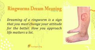 Ringworms Dream Meaning