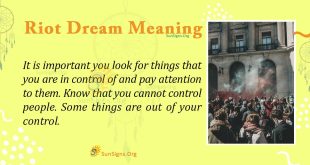 Riot Dream Meaning