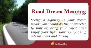 Road Dream Meaning