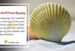 Seashell Dream Meaning