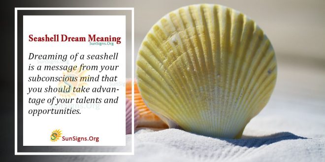 Seashell Dream Meaning