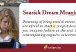 Seasick Dream Meaning