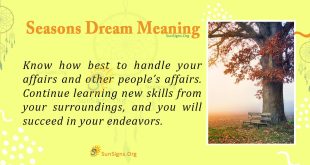 Seasons Dream Meaning