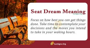 Seat Dream Meaning