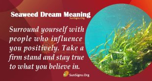 Seaweed Dream Meaning