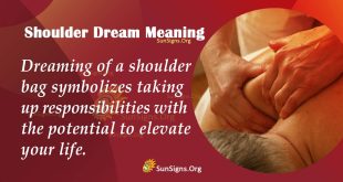 Shoulder Dream Meaning