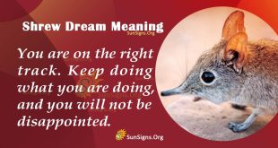 Shrew Dream Meaning