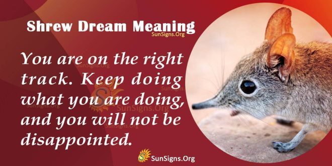 Shrew Dream Meaning