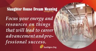 Slaughter House Dream Meaning