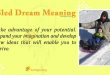 Sled Dream Meaning