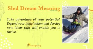 Sled Dream Meaning