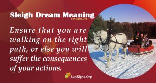 Sleigh Dream Meaning