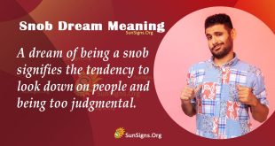 Snob Dream Meaning