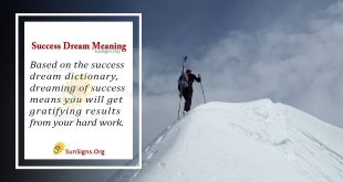 Success Dream Meaning