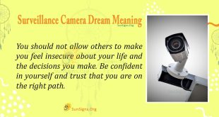 Surveillance Dream Meaning