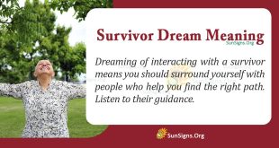 Survivor Dream Meaning