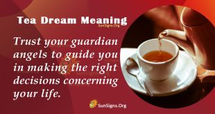 Tea Dream Meaning