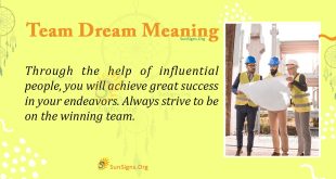 Team Dream Meaning