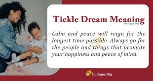 Tickle Dream Meaning